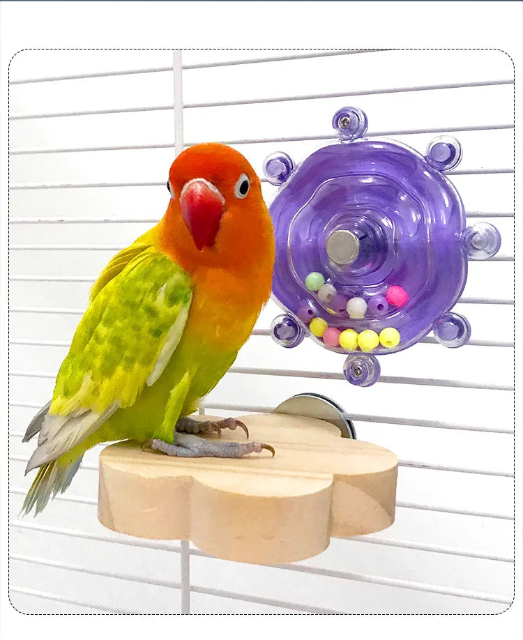 Boredom Relief Chew Wheel for Small Birds