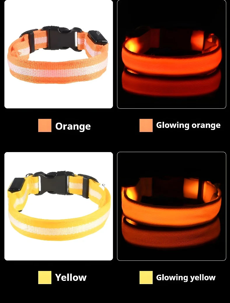 Luminous LED Dog Collar