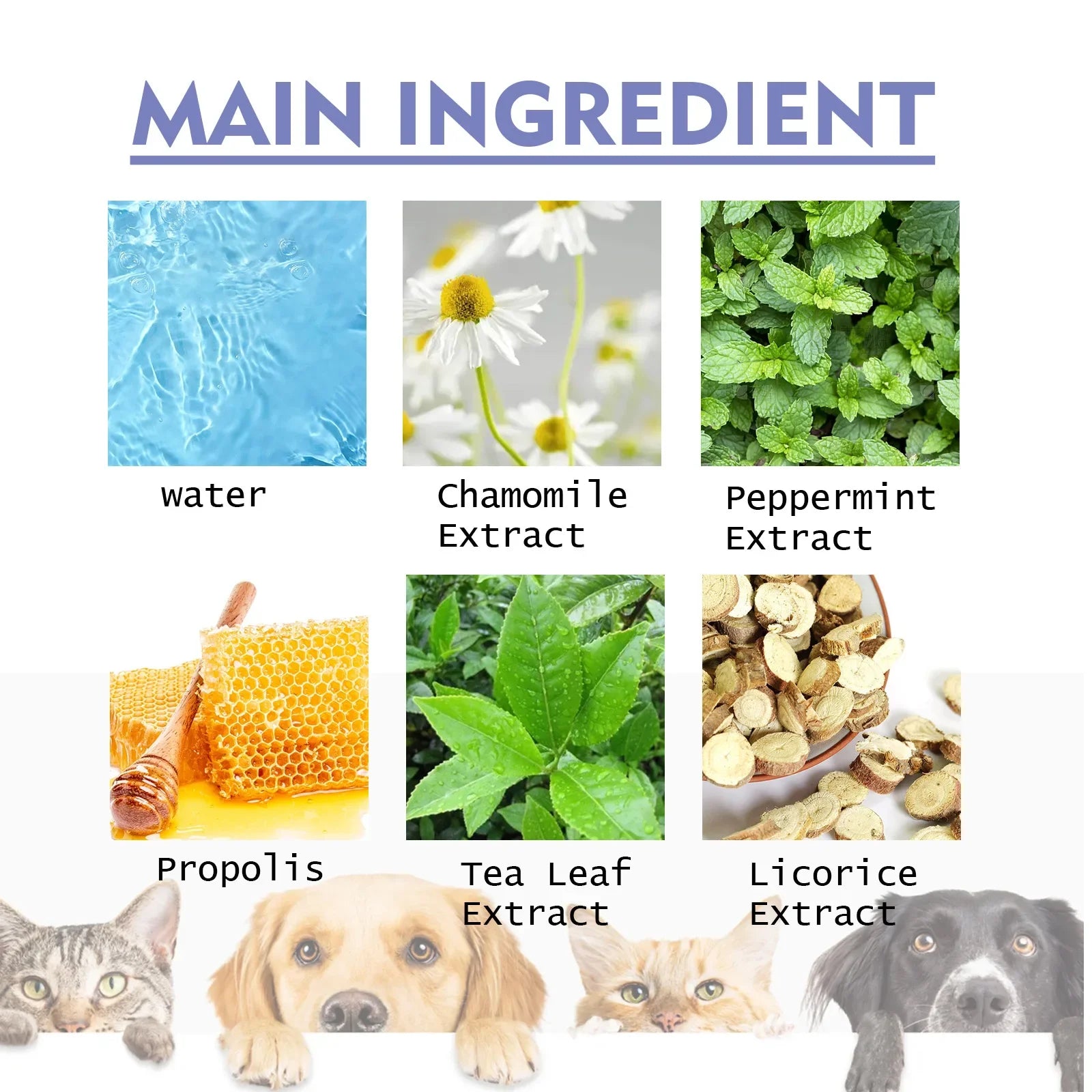 Pet Oral Cleanse Spray for Dogs & Cats, Breath Freshener & Tartar Remover