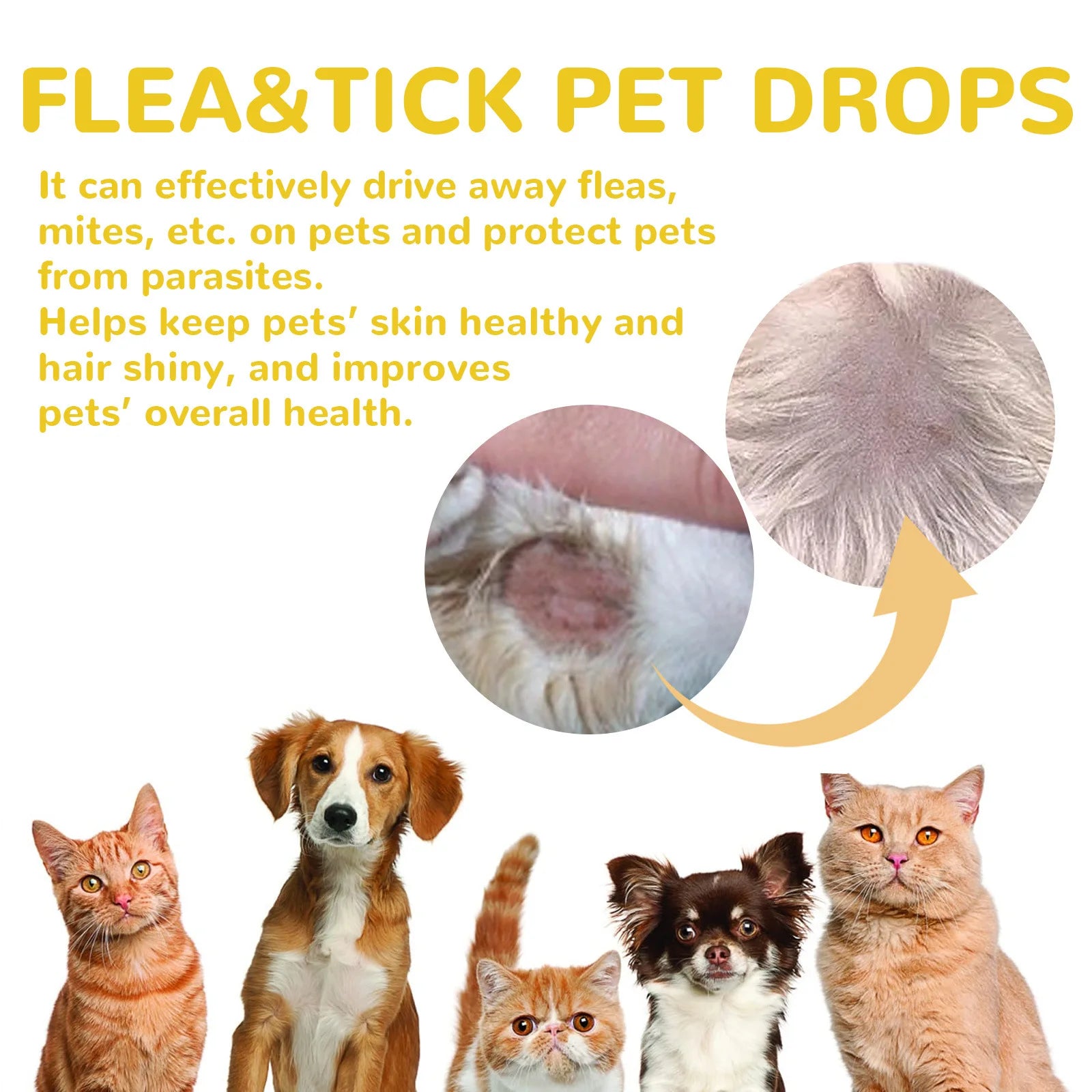 Cat Anti-Flea & Tick Treatment Drops – Itch Relief & External Parasite Repellent
