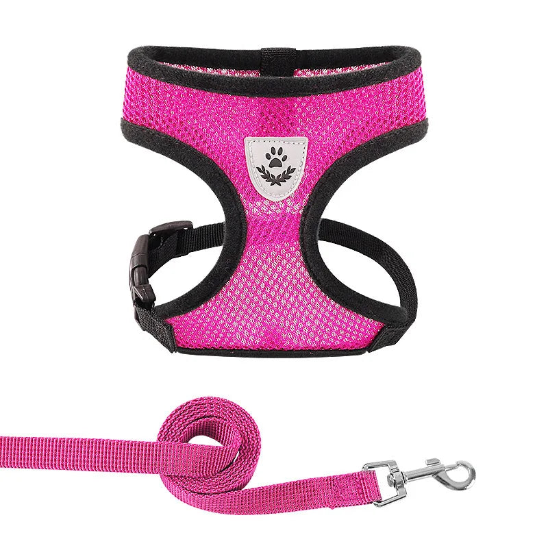 Breathable Mesh Pet Harness & Leash Set