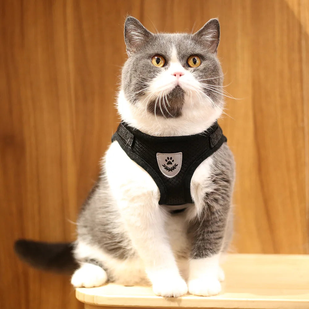 Escape-Proof Vest for Cats, Puppies, and Small Dogs