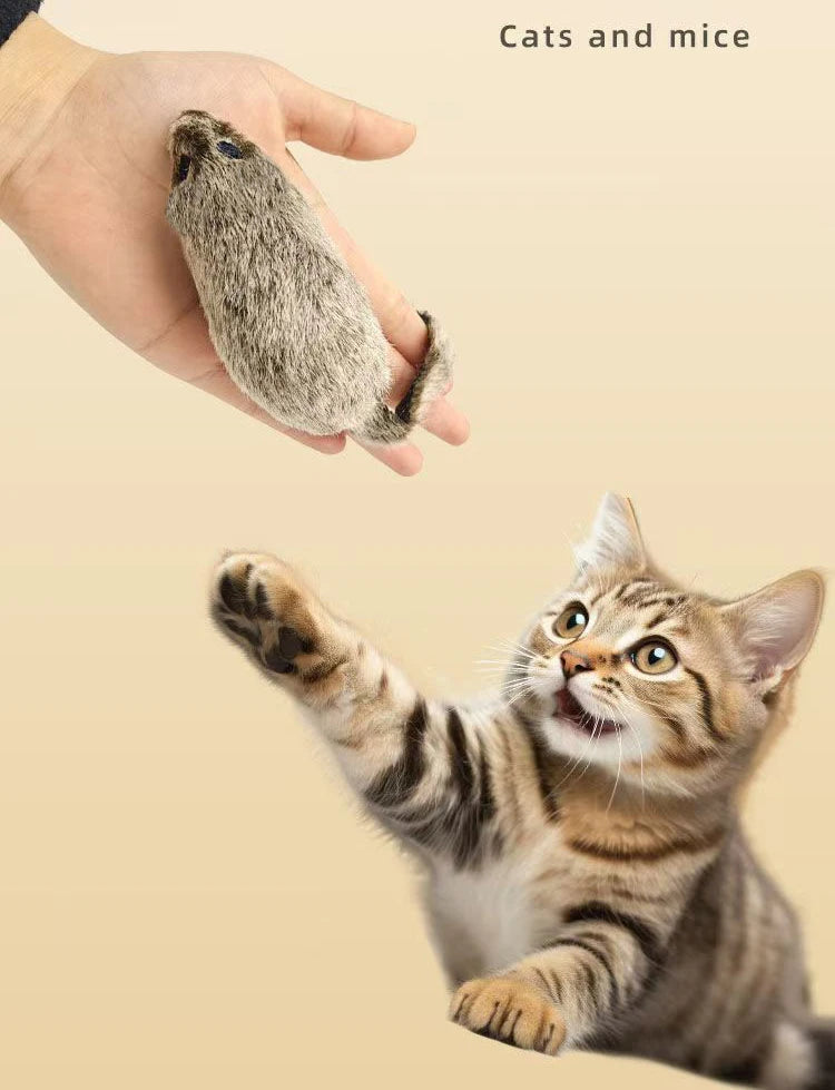 Interactive Chirping Mouse for Kittens to Relieve Boredom