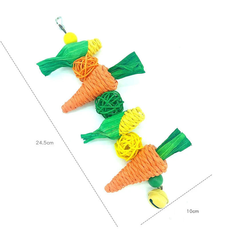 Parrot Chew & Cage Hanging Toy