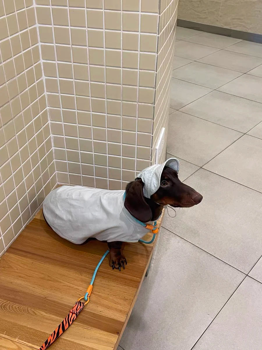 Summer T-Shirt for Dachshunds, Soft Grey Short Sleeve Vest for Wiener Dogs