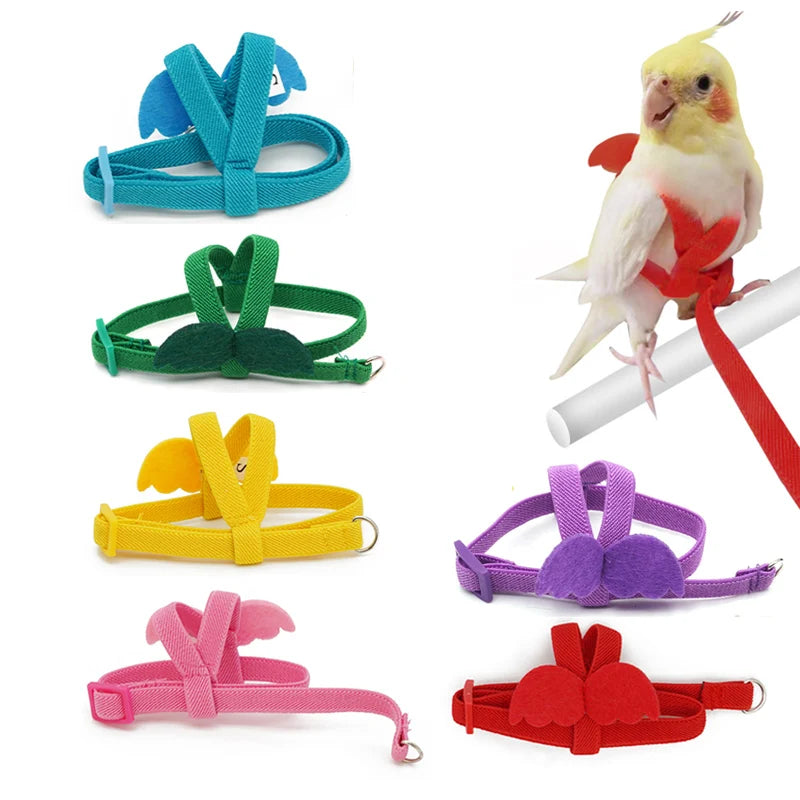Long Cable Bird Harness & Leash