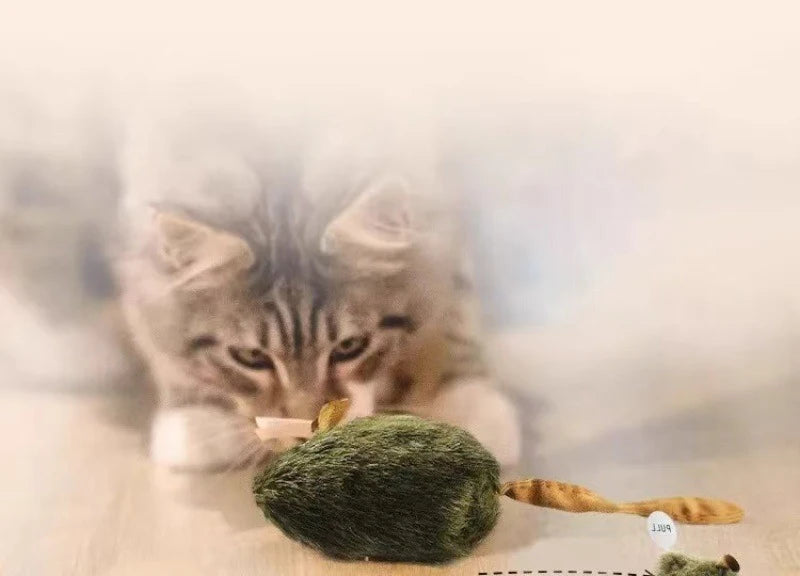 Interactive Chirping Mouse for Kittens to Relieve Boredom