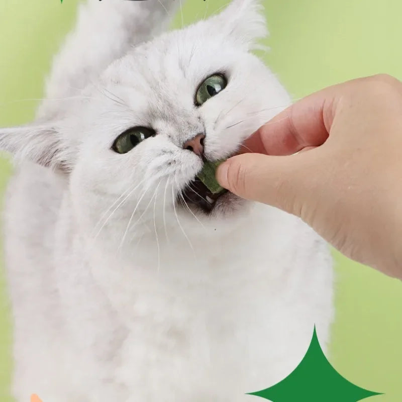 Freeze-Dried Cat Grass Tablets — Hairball Remedy & Digestive Aid Cat Snack