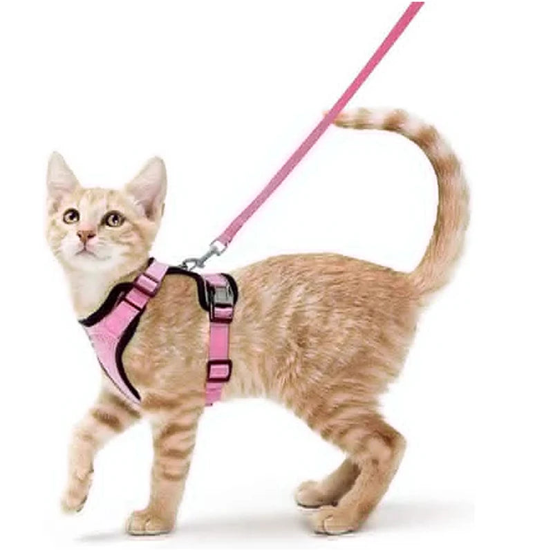 Escape-Proof Cat Harness & Leash Set