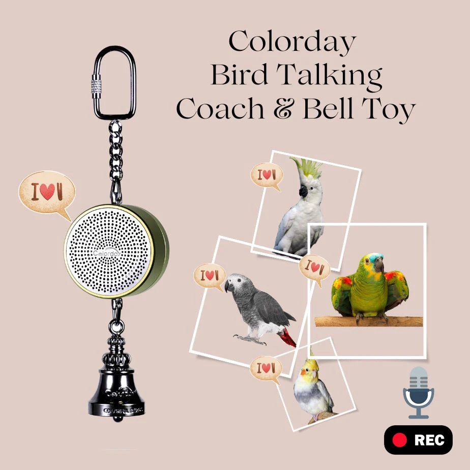 Interactive Talking Training Toy for Parrots — Voice Recording & Playback