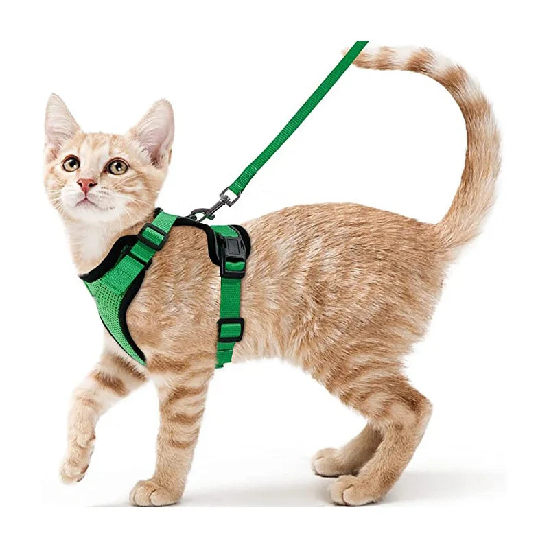 Escape-Proof Cat Harness & Leash Set