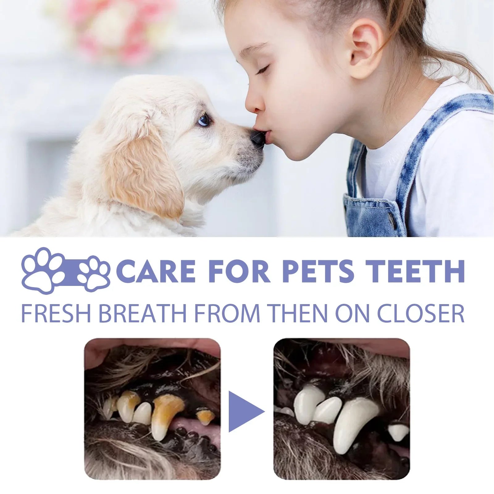 Pet Oral Cleanse Spray for Dogs & Cats, Breath Freshener & Tartar Remover