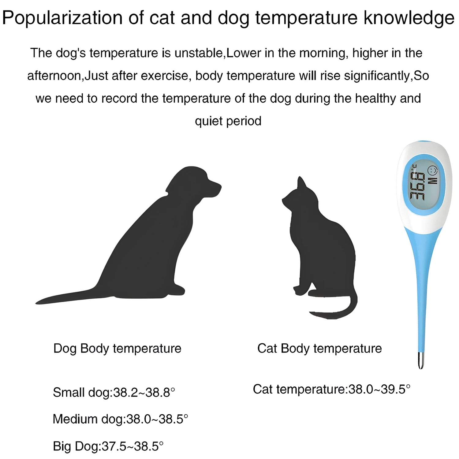 Professional LED Pet Thermometer