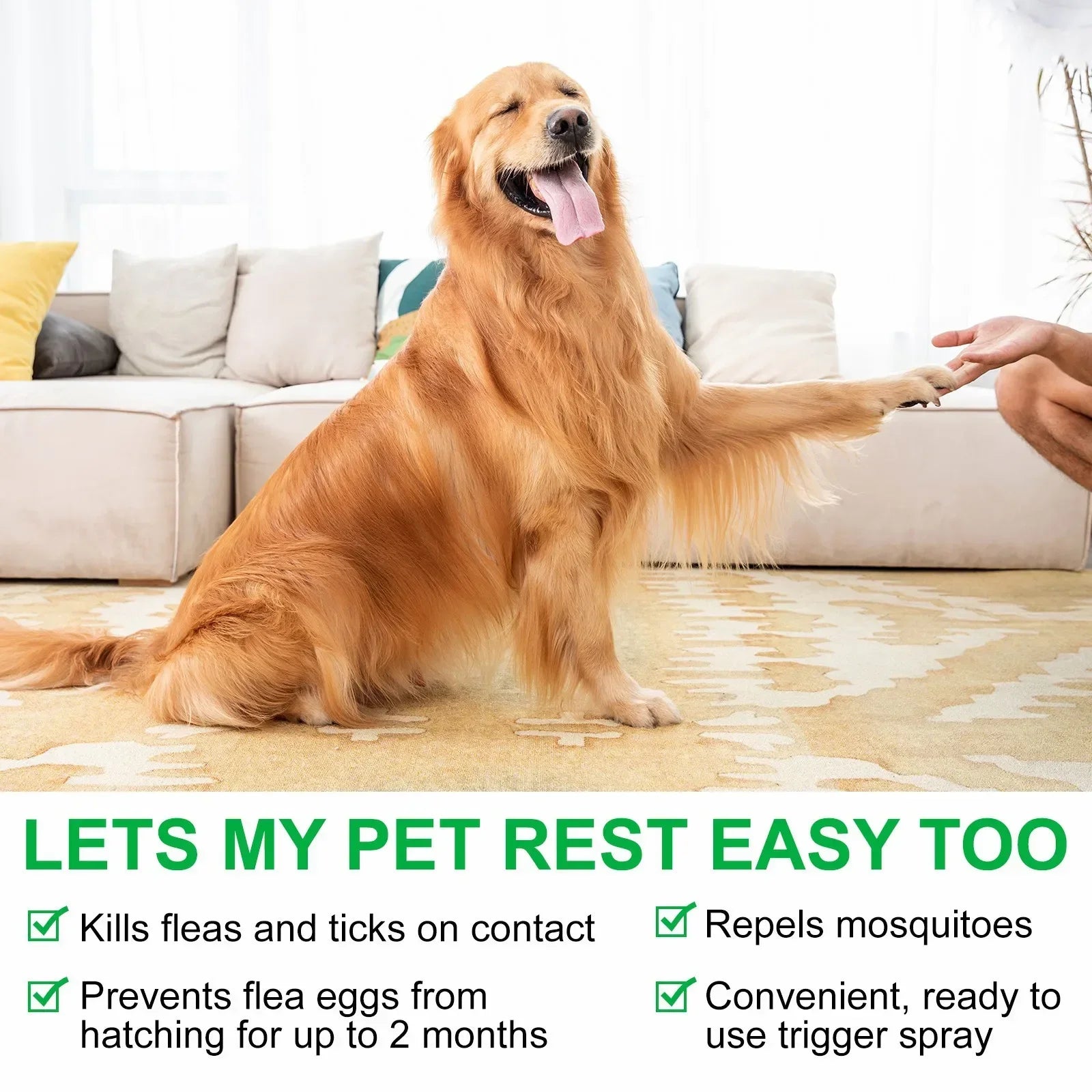 Natural Flea & Tick Spray for Dogs & Cats
