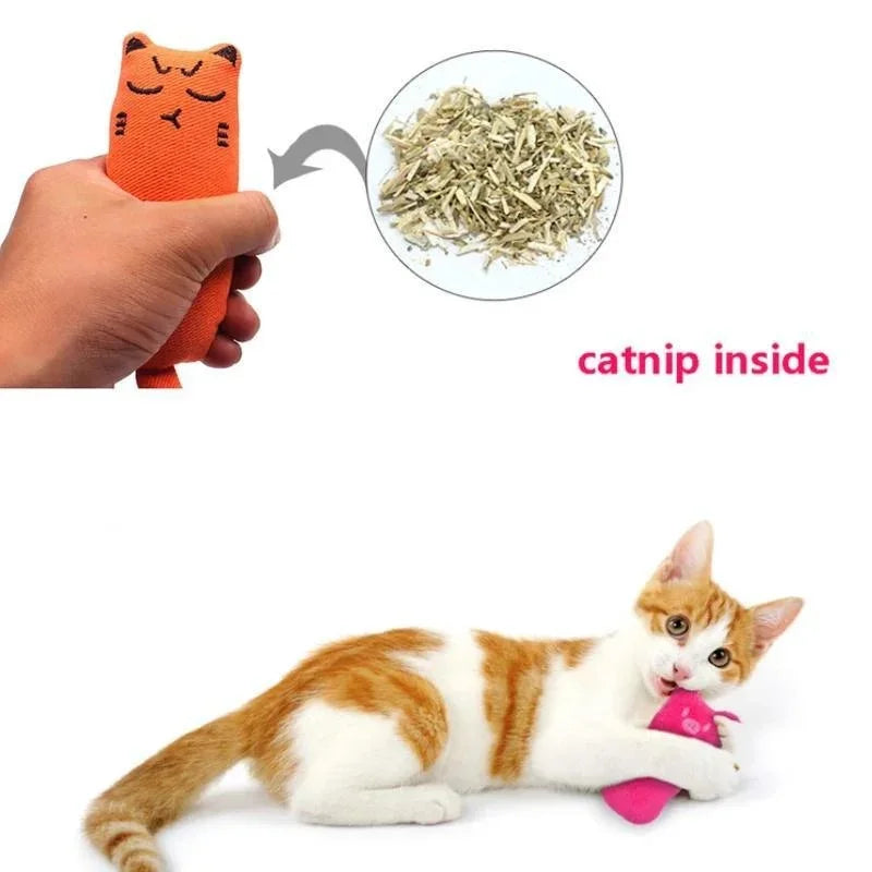 Rustling Catnip Plush Toy – Teeth Grinding Pillow Toy for Kittens & Cats