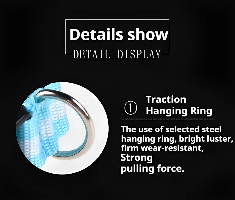 Luminous LED Dog Collar