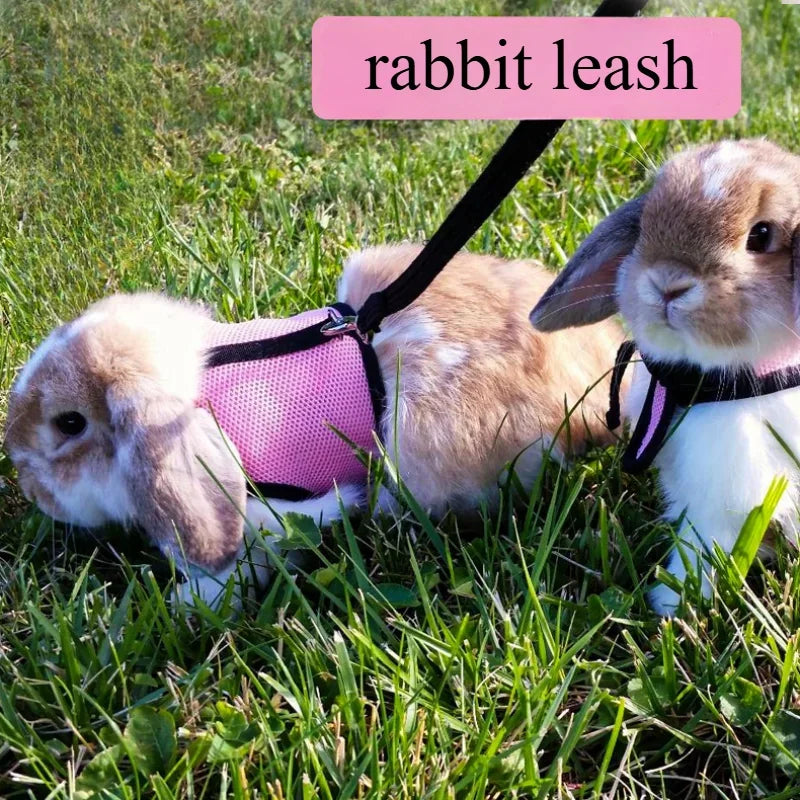 Multi-Color Breathable Vest & Adjustable Harness with Leash for Small Pets