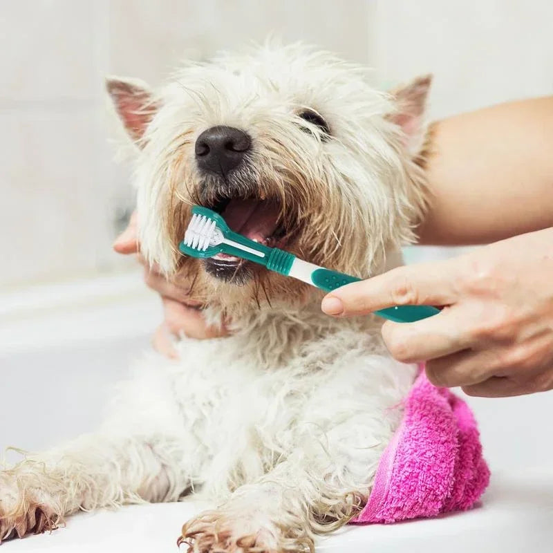 3-Sided Pet Toothbrush for Dogs & Cats, Dental Cleaning Tool for Bad Breath & Tartar Removal