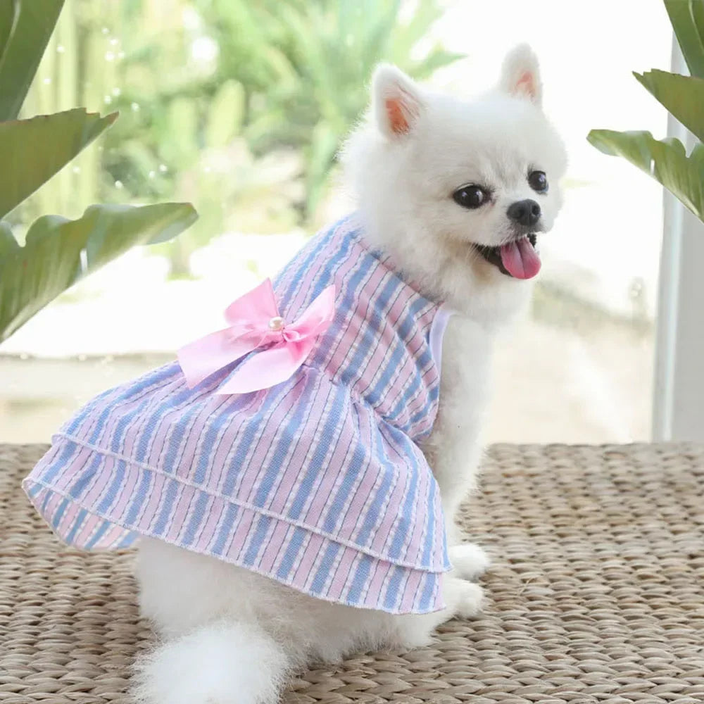 Summer Princess Dog Dress, Tutu Skirt Outfit for Small Dogs, Puppies & Cats