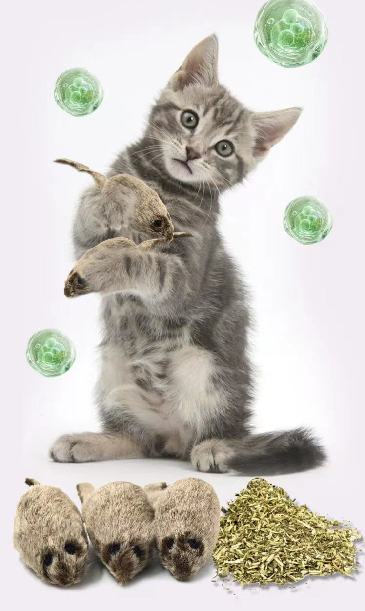 Interactive Chirping Mouse for Kittens to Relieve Boredom
