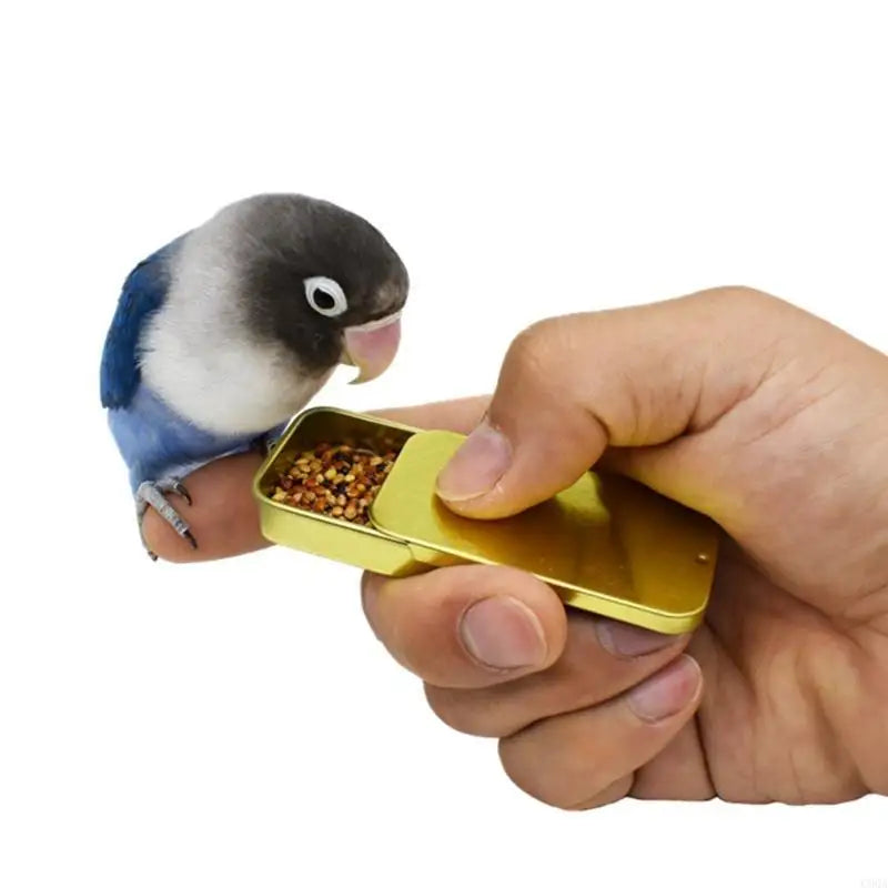 Bird Tabletop Interactive Training Toy — Parrot Intelligence Game