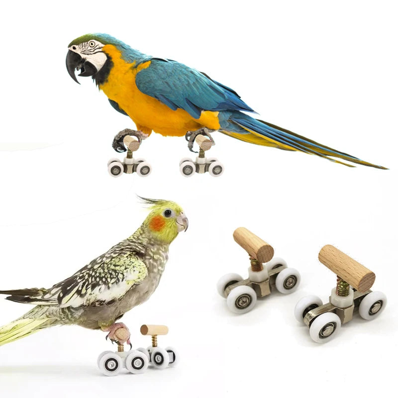 1 Pair Parrot Roller Skates — Mini Bird Training & Trick Toy