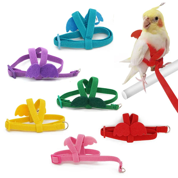 Long Cable Bird Harness & Leash