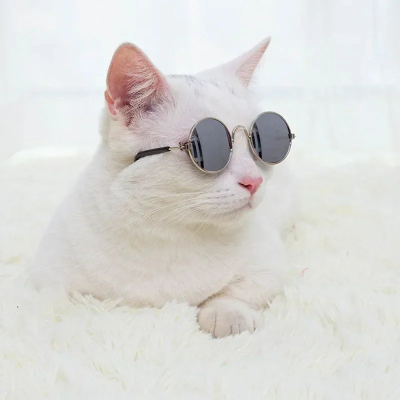 Cute Pet Sunglasses – UV Protection for Small Dogs, Cats & Photo Props