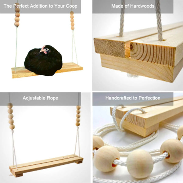 Chicken Swing & Bird Perch