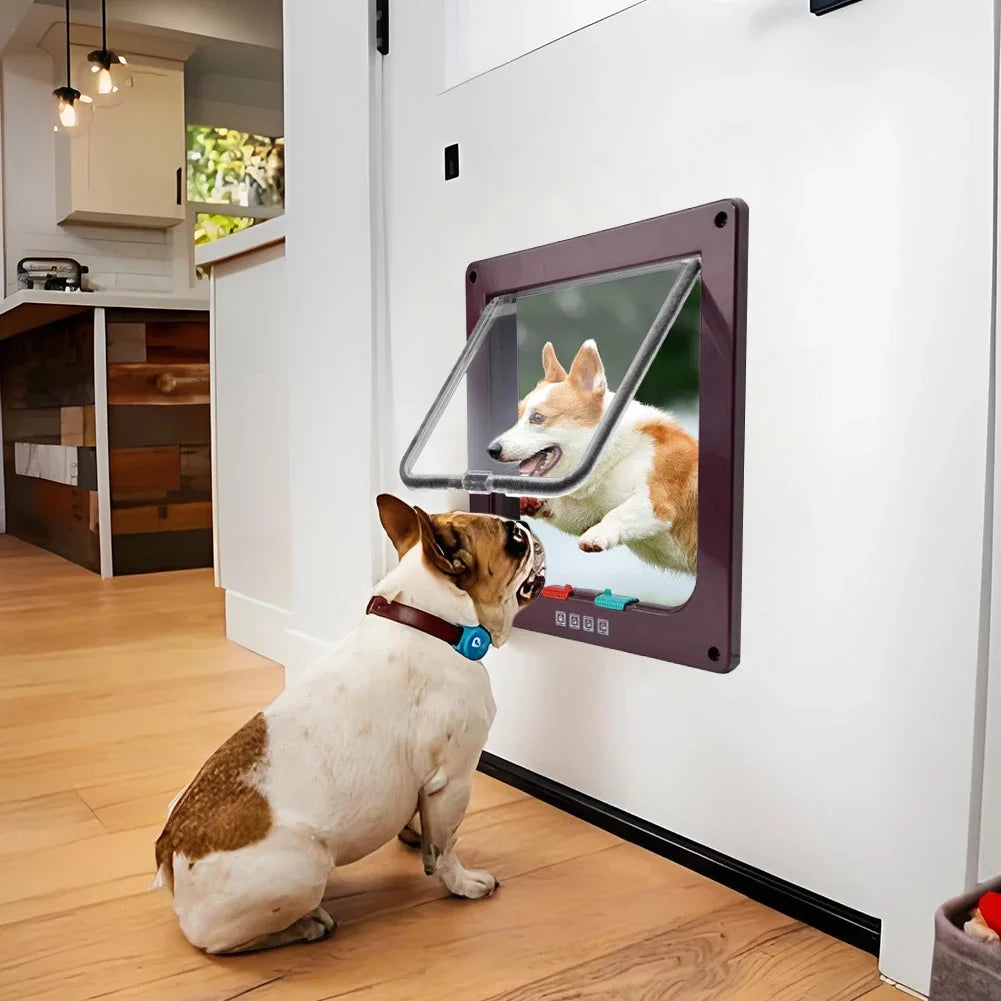 Pet Flap Door with 4-Way Security Lock