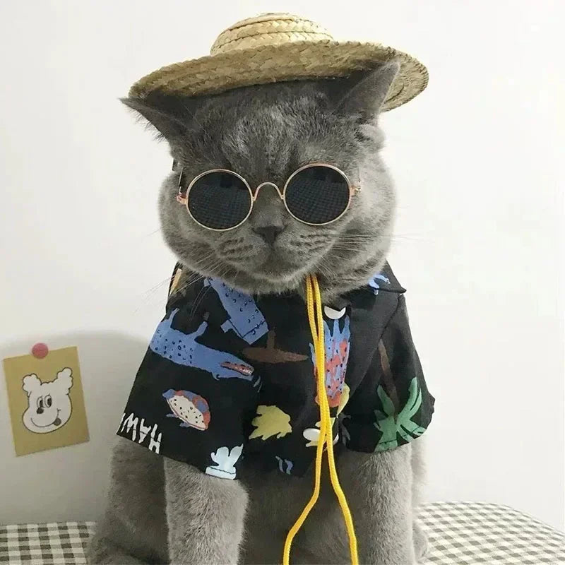 Cute Pet Sunglasses – UV Protection for Small Dogs, Cats & Photo Props