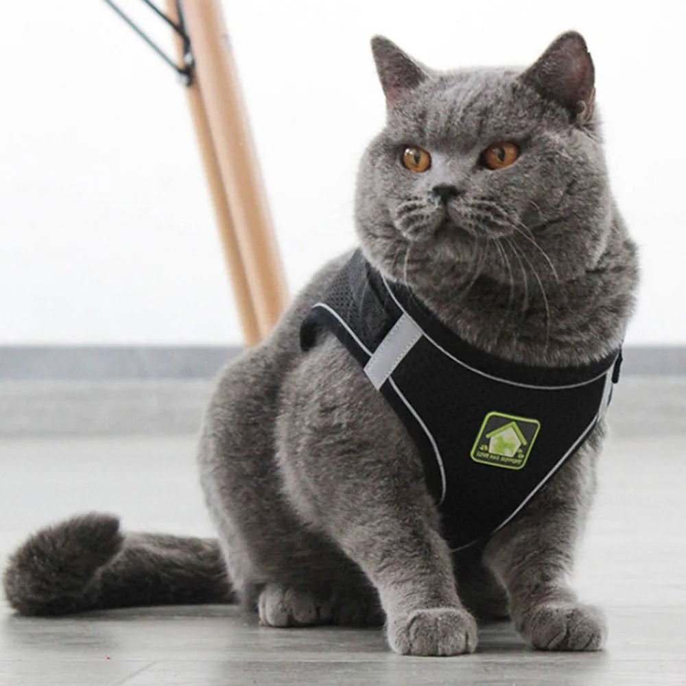Escape-Proof Vest for Cats, Puppies, and Small Dogs