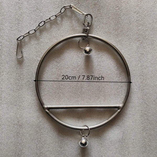 Stainless Steel Parrot Swing