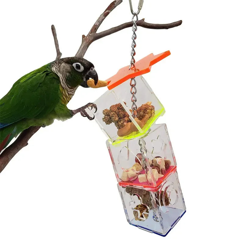 Acrylic Parrot Puzzle Toy