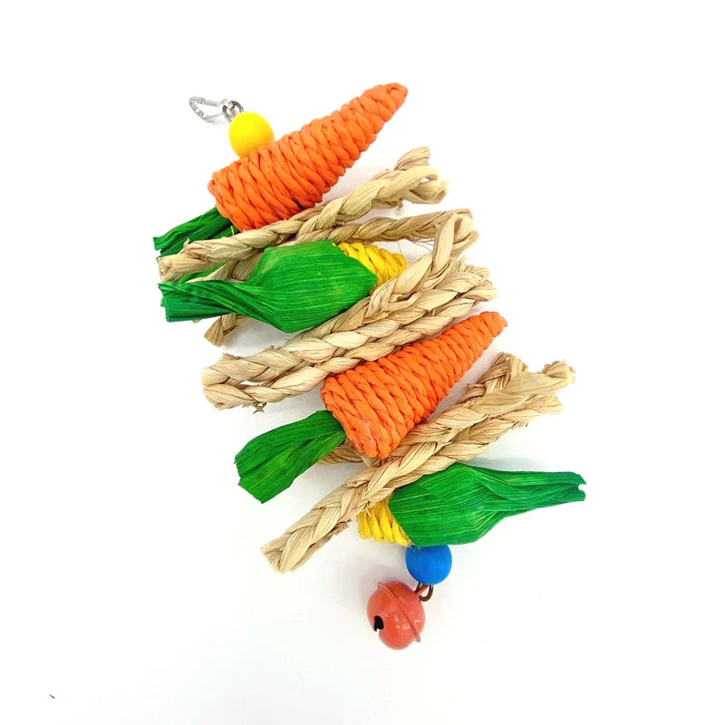 Parrot Chew & Cage Hanging Toy