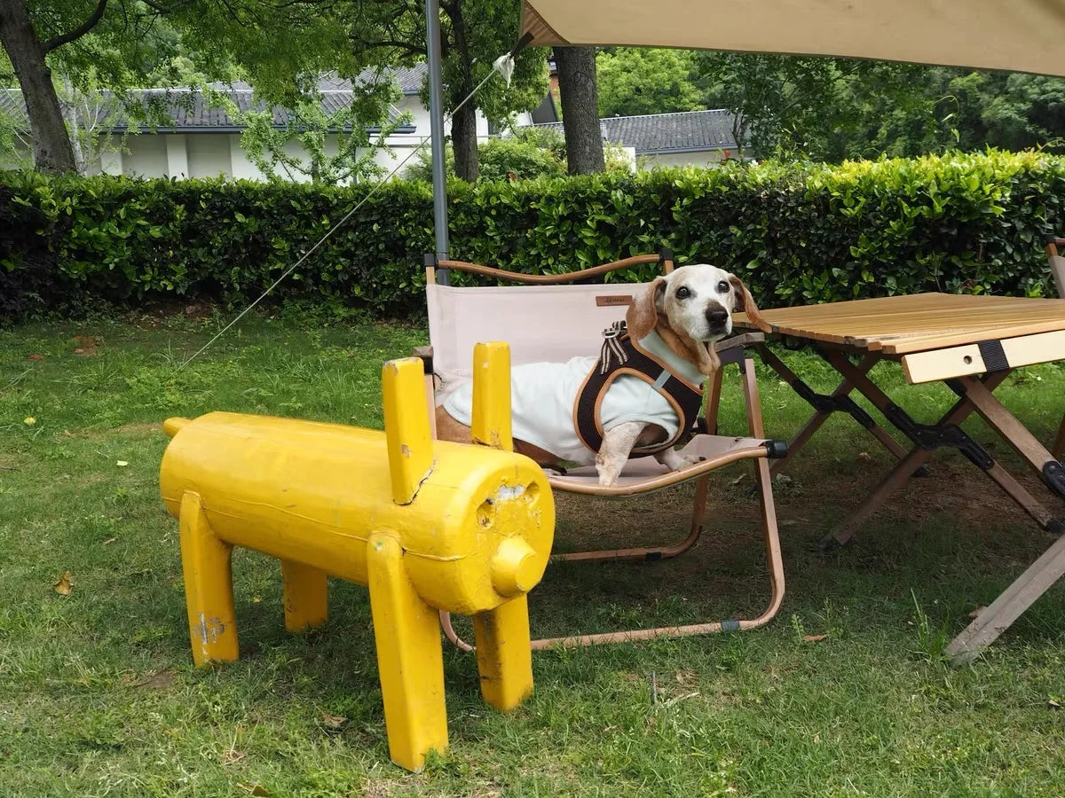 Summer T-Shirt for Dachshunds, Soft Grey Short Sleeve Vest for Wiener Dogs