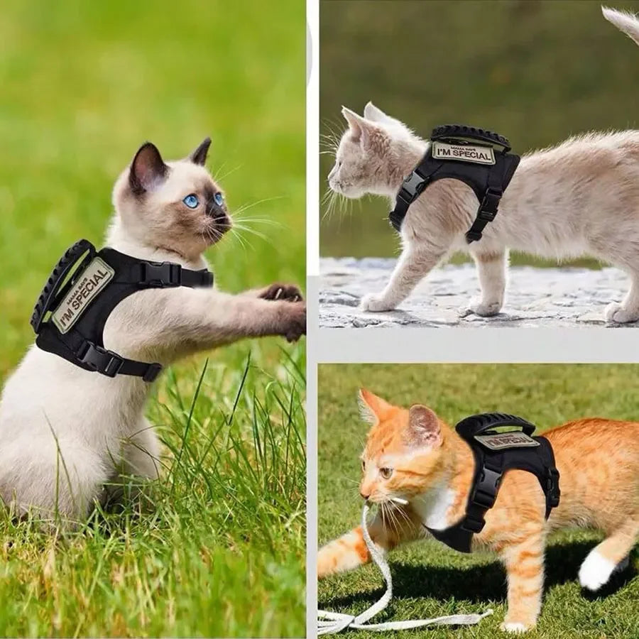 Waterproof Adjustable Outdoor Cat Vest with Chest Strap
