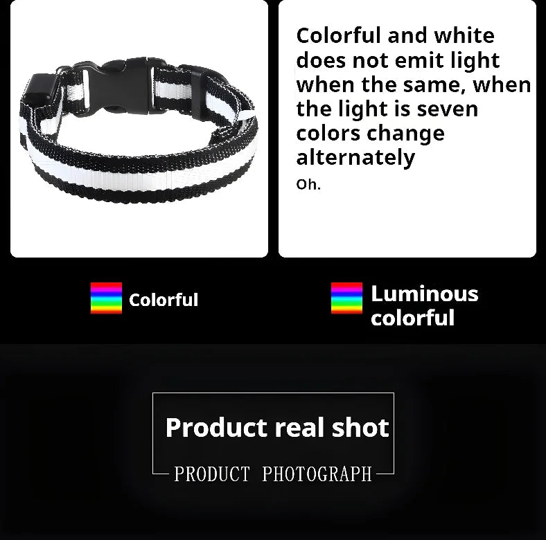 Luminous LED Dog Collar