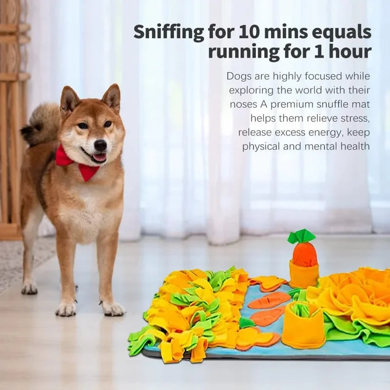 Large Interactive Snuffle Mat for Dogs