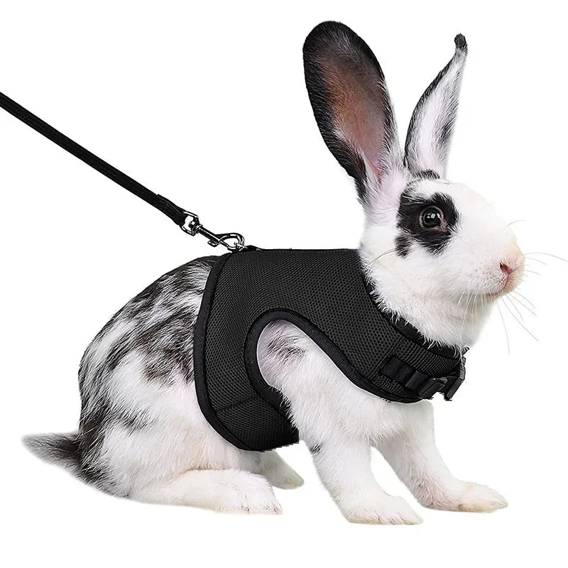 Multi-Color Breathable Vest & Adjustable Harness with Leash for Small Pets