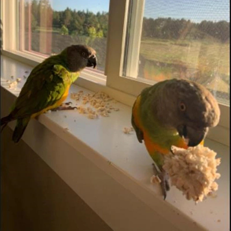 Natural Sola Ball Bird Chewing & Foraging Toys