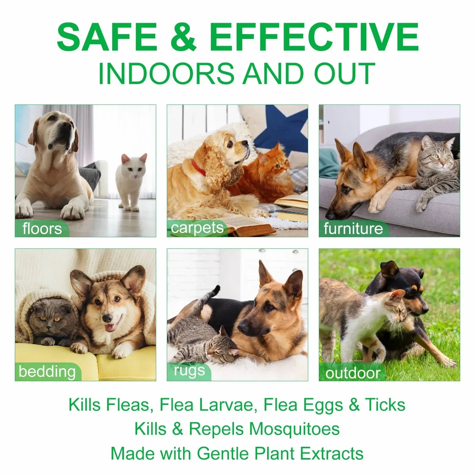 Natural Flea & Tick Spray for Dogs & Cats