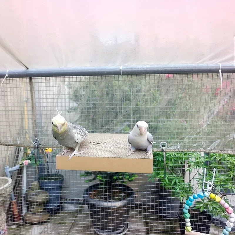 Parrot Chew Toys
