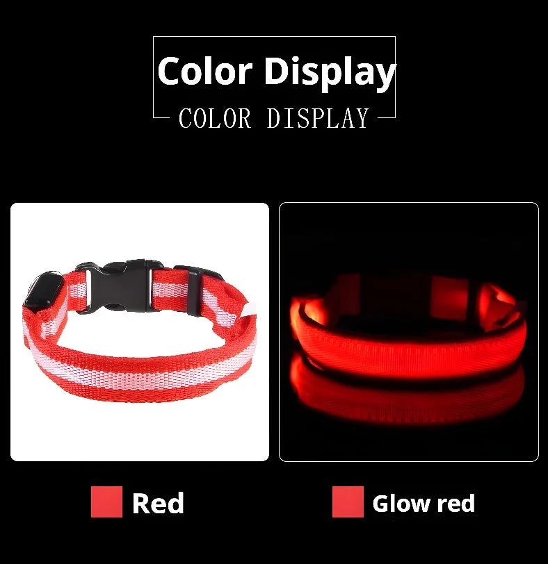 Luminous LED Dog Collar