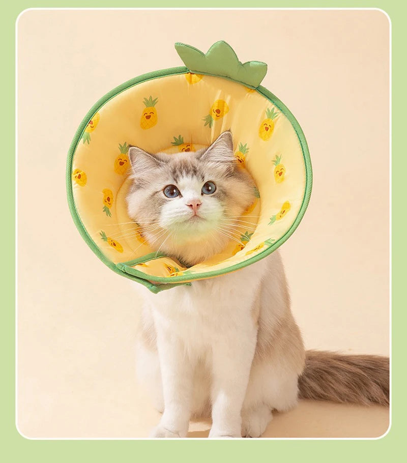 Pet Elizabethan Recovery Collar, Lick & Bite Protection Headgear for Cats and Small Dogs