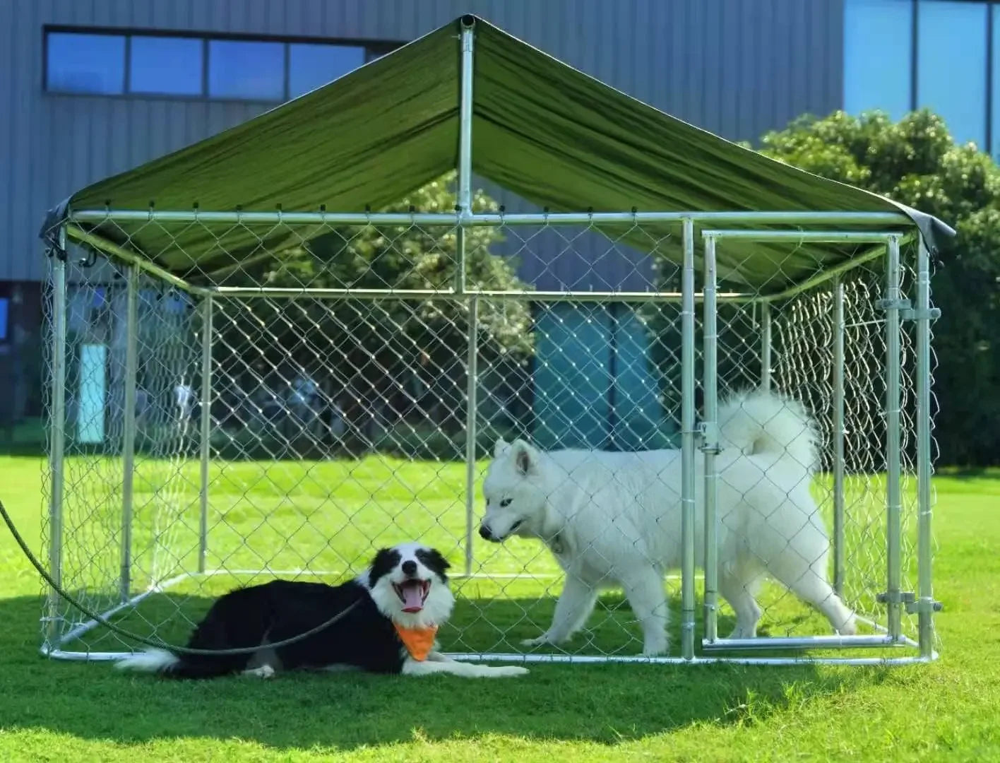 Outdoor Heavy-Duty Dog Kennel