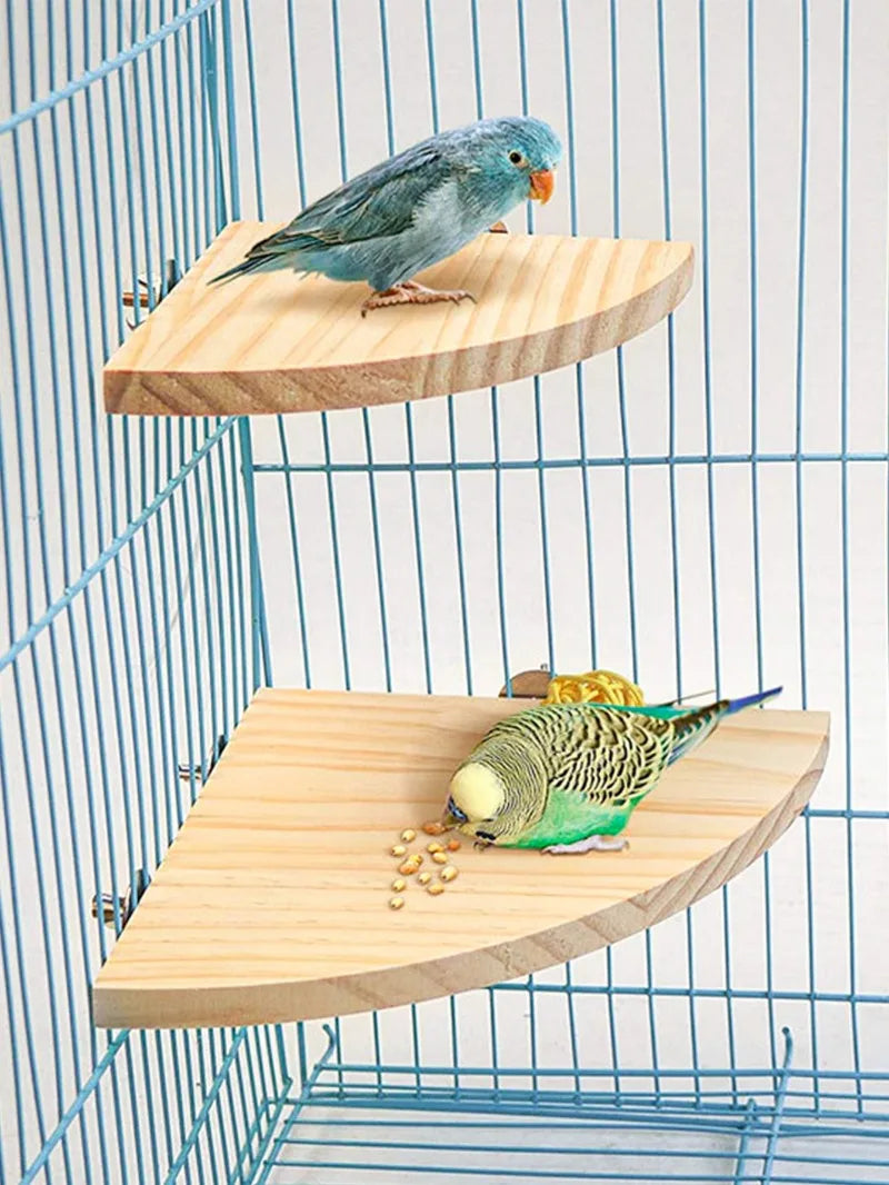 Fan-Shaped Wooden Perch Stand for Birds & Small Pets