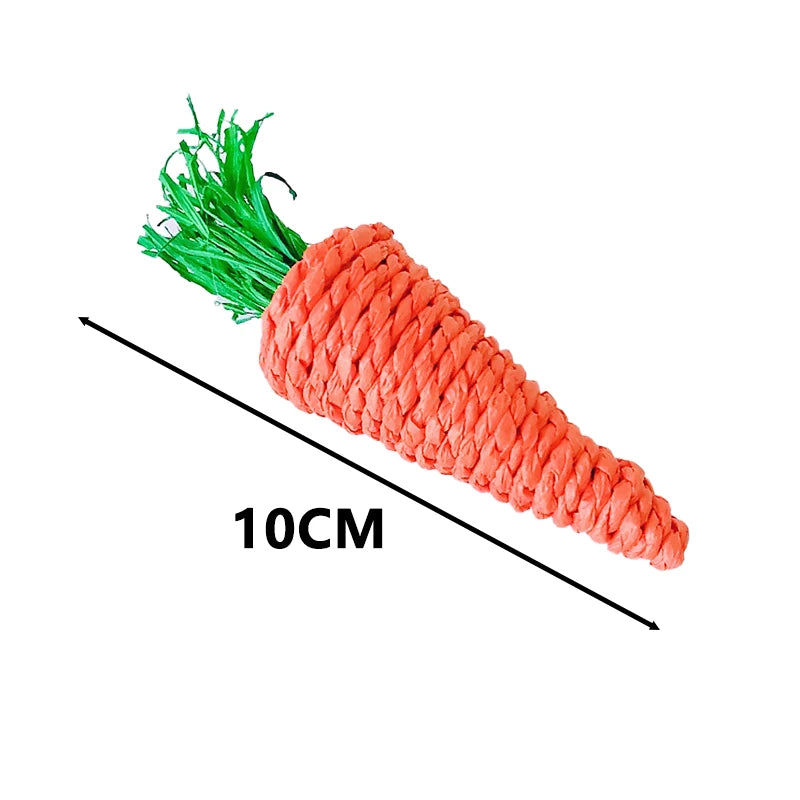 Parrot Chew & Cage Hanging Toy