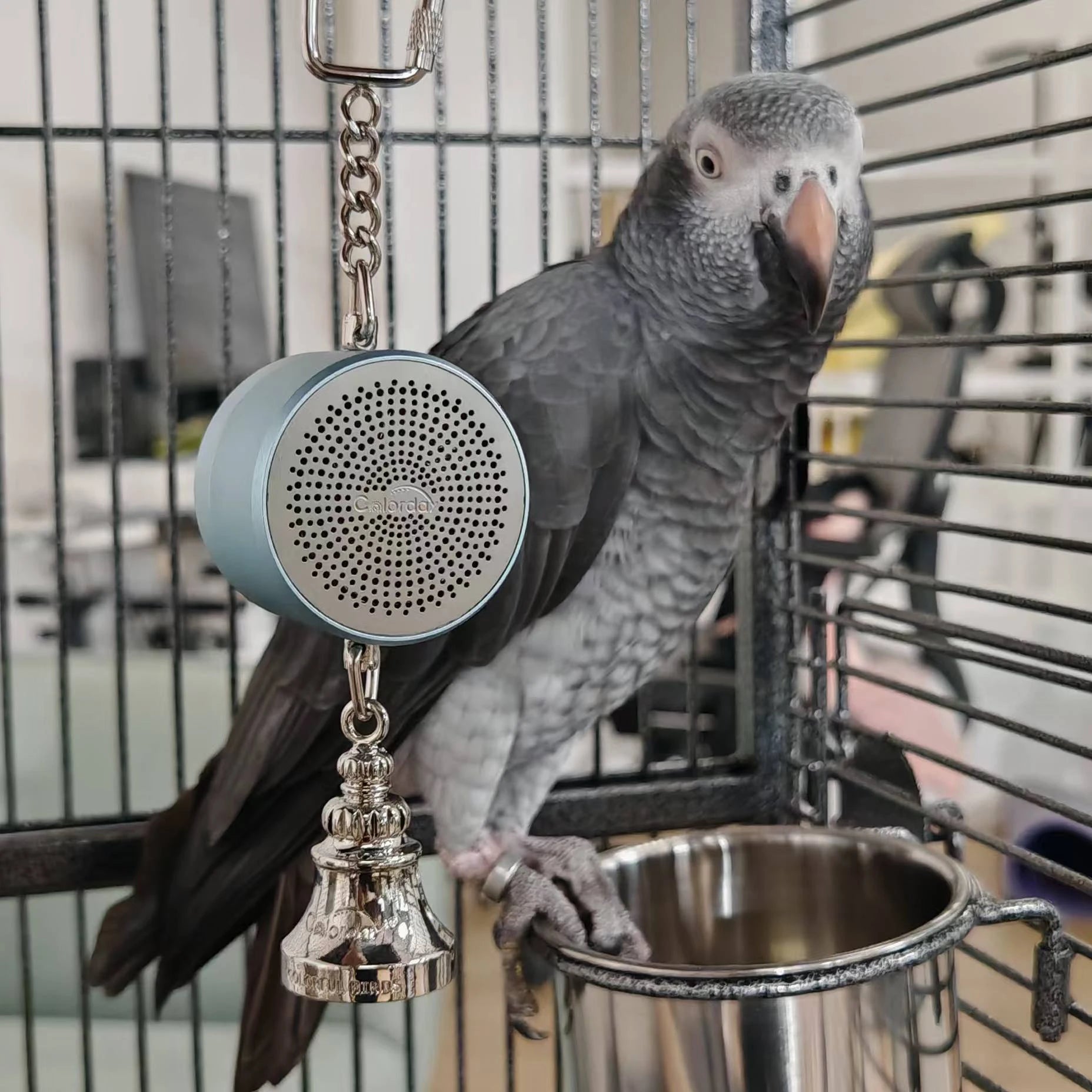 Interactive Talking Training Toy for Parrots — Voice Recording & Playback