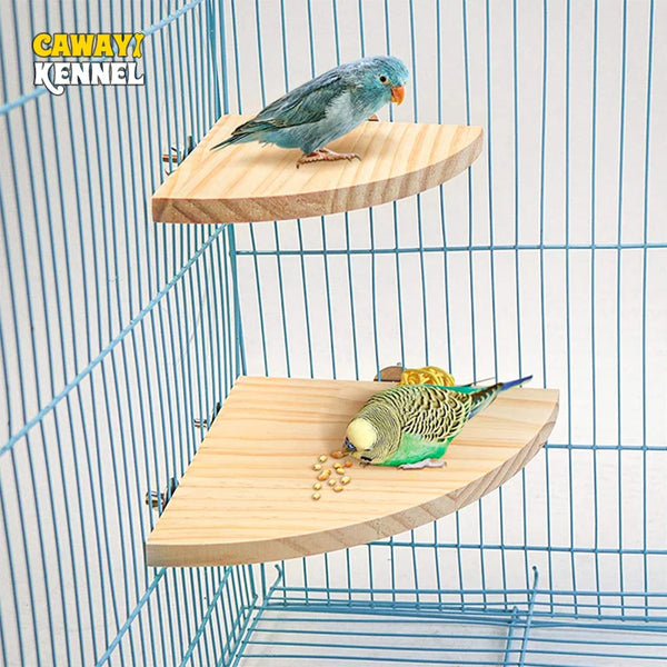 Fan-Shaped Wooden Perch Stand for Birds & Small Pets